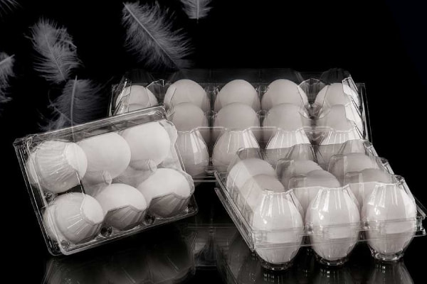 تصویر 2 از شانه تخم مرغ طلقی شفاف بادوام طراحی کاربردی